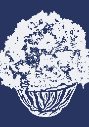 Illustrations for Logo, T-shirts print, stickers for KORI-YA HINATA
